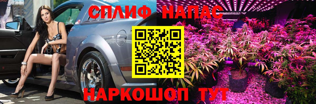 Канабис MAZAR Ишим